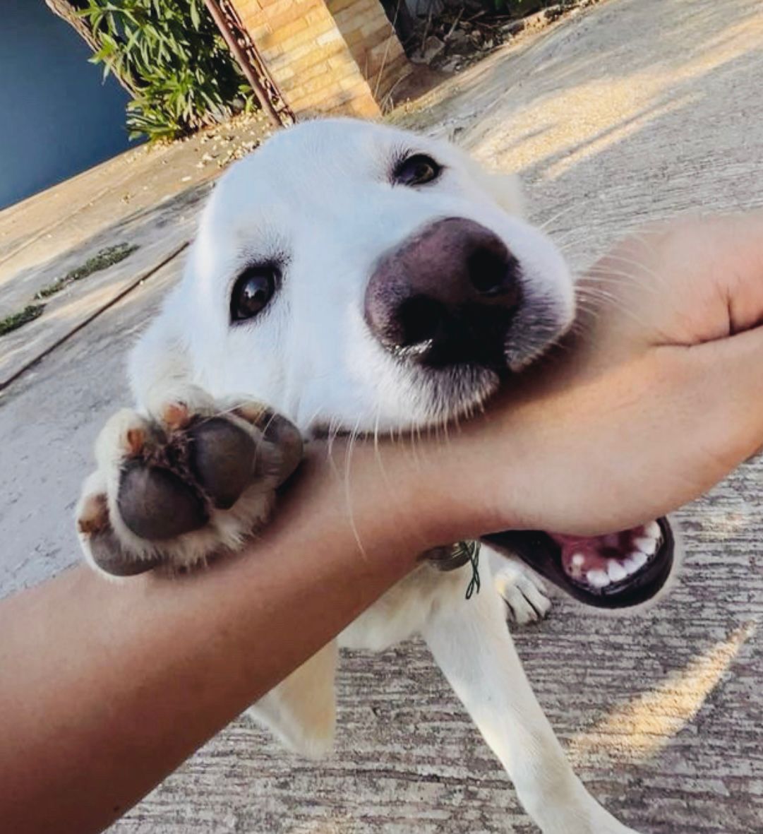 Imagem Módulo 4